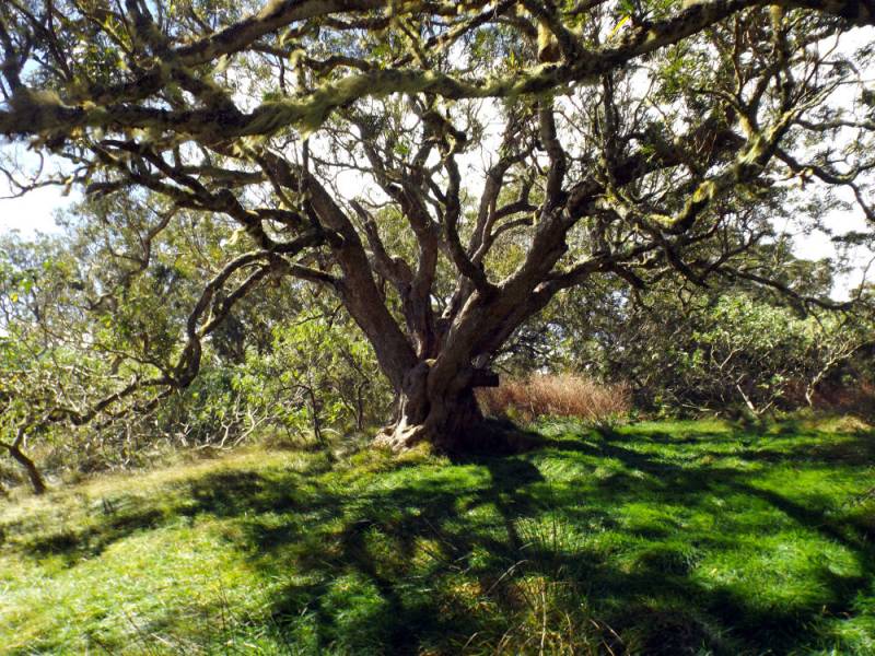 3 fa�ons de faire la Roche Ecrite